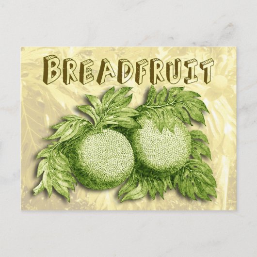 Breadfrucht Postkarte (Vorderseite)