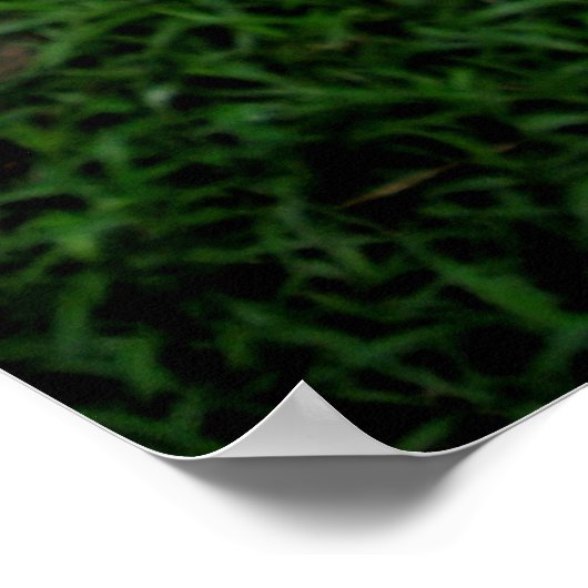 Breadfruchtbaum Poster (Ecke)