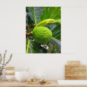 Breadfruchtbaum Poster (Küche)