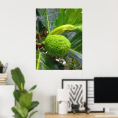 Breadfruchtbaum Poster (Heimbüro)