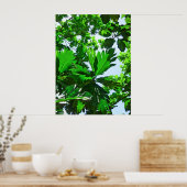 Breadfruit-Blätter Poster (Küche)