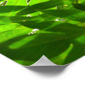 Breadfruit-Blätter Poster (Ecke)