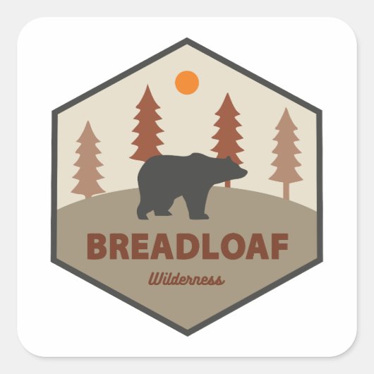 Breadloaf Wilderness Vermont Bear Quadratischer Aufkleber (Vorderseite)