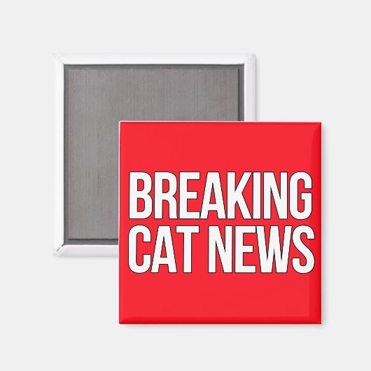 Break Cat News Magnet (Vorderseite/Rückseite)