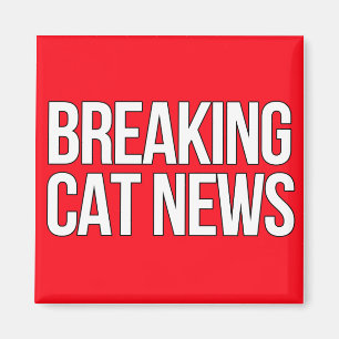 Break Cat News Magnet