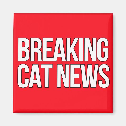 Break Cat News Magnet (Vorne)