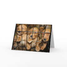 Break da aus! Abschluss Spaß