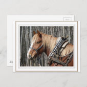 Break machen postkarte (Vorne/Hinten)