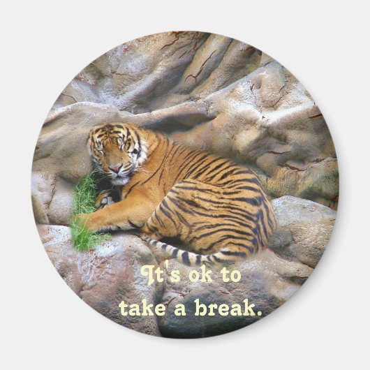 Break_Magnet Magnet (Vorne)