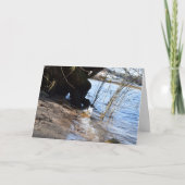 Breakers, Beachlife Karte (Vorderseite)