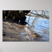 Breakers, Beachlife Poster (Vorne)