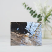 Breakers, Beachlife Postkarte (Stehend Vorderseite)