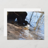 Breakers, Beachlife Postkarte (Vorne/Hinten)