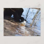 Breakers, Beachlife Postkarte (Vorderseite)