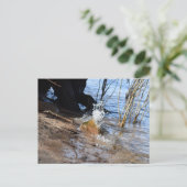 Breakers, Beachlife Postkarte (Stehend Vorderseite)