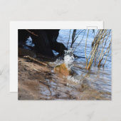 Breakers, Beachlife Postkarte (Vorne/Hinten)