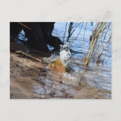 Breakers, Beachlife Postkarte (Vorderseite)