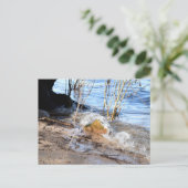 Breakers, Beachlife Postkarte (Stehend Vorderseite)