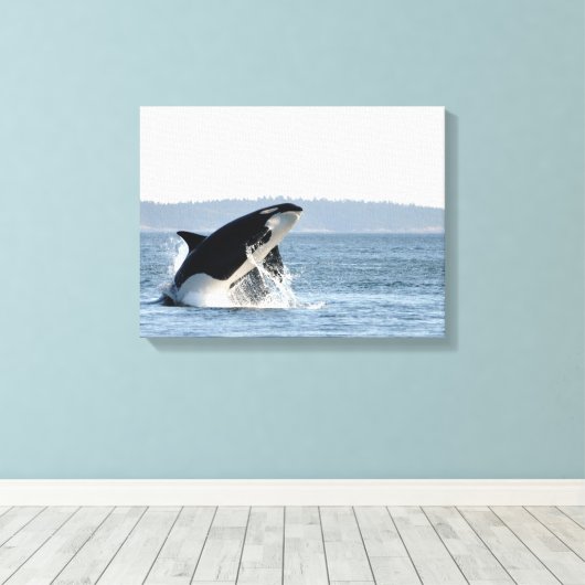 Breaking Orca Canvas Print Leinwanddruck (Insitu (Holzboden))