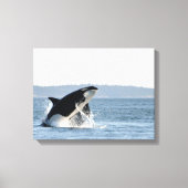 Breaking Orca Canvas Print Leinwanddruck (Vorderseite)