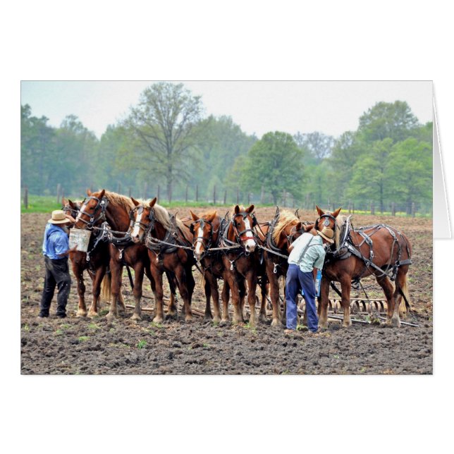 Breaktime (Vorderseite (Horizontal))