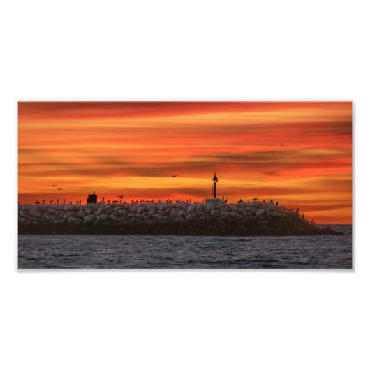 Breakwall with Pelicans - Marina Del Rey, CA Fotodruck (Vorne)