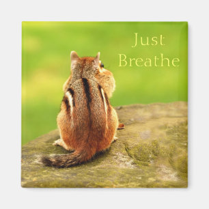 Breathe Chipmunk Magnet
