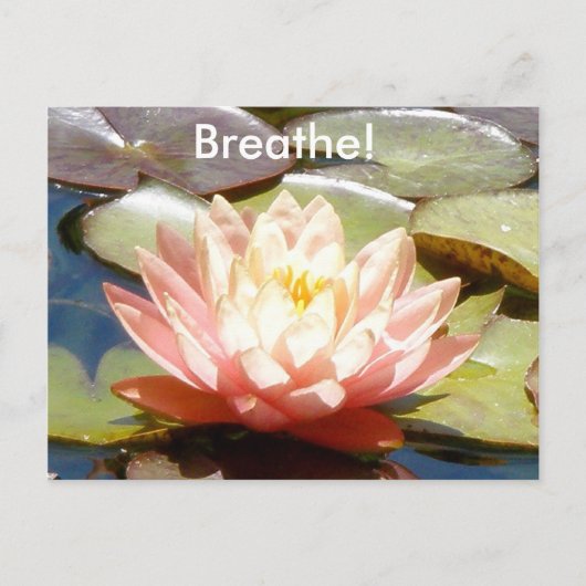 Breathe! Lotus Postcard Postkarte (Vorderseite)
