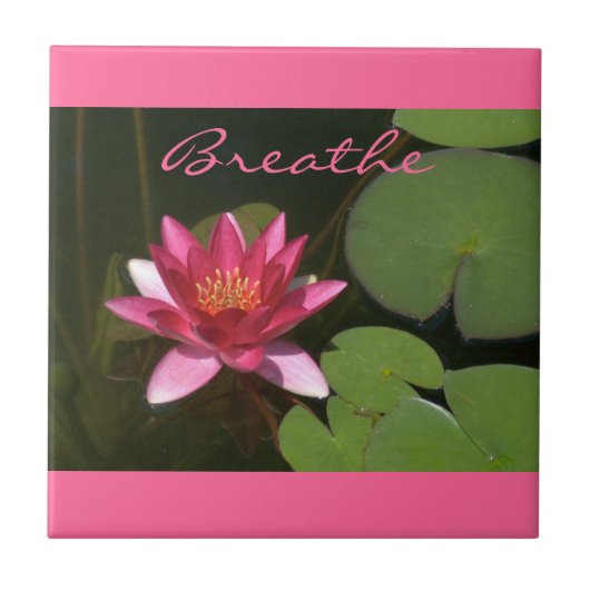 "Breathe" Pink Lotus Blossom Tle Fliese (Vorderseite)