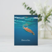 Breathe Turtle | Meeresschildkröte | Ocean Lover Einladung (Stehend Vorderseite)