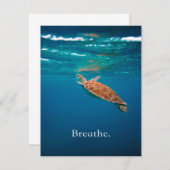 Breathe Turtle | Meeresschildkröte | Ocean Lover Einladung (Vorne/Hinten)