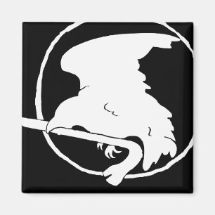 Brechstangen-Magnet weiß/Schwarzes, um und Quadra Magnet