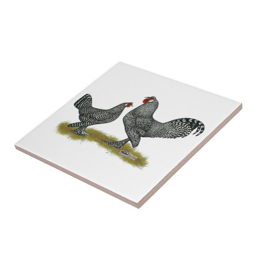 Breda-Huhn-Kuckuck Fliese (Seite)