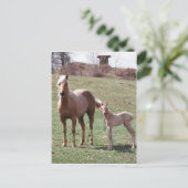 Bree & Jac Postkarte (Stehend Vorderseite)