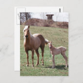 Bree & Jac Postkarte (Vorne/Hinten)