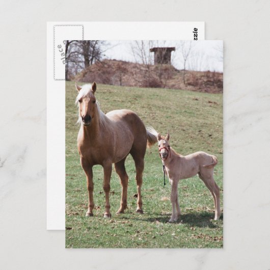 Bree & Jac Postkarte (Vorne/Hinten)