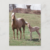 Bree & Jac Postkarte (Vorderseite)