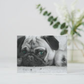 Breena pic postkarte (Stehend Vorderseite)