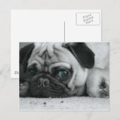 Breena pic postkarte (Vorne/Hinten)