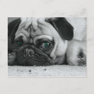 Breena pic postkarte