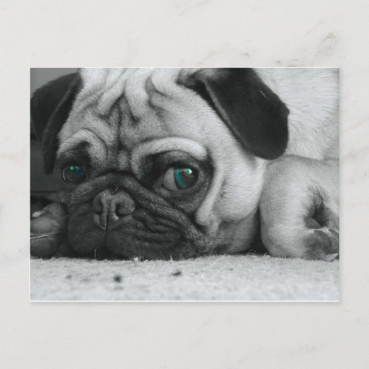 Breena pic postkarte (Vorderseite)