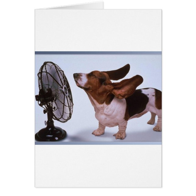 Breeze - Hund und Lüfter (Vorne)