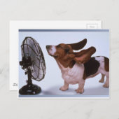 Breeze - Hund und Lüfter Postkarte (Vorne/Hinten)