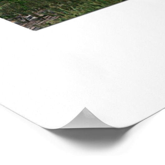 Breeze Poster (Ecke)