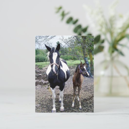 Breezie n Zura Postkarte (Stehend Vorderseite)