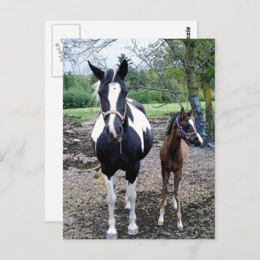 Breezie n Zura Postkarte (Vorne/Hinten)