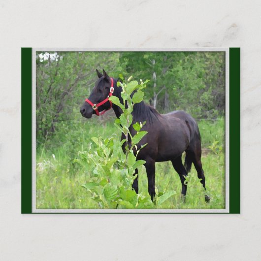 Breezy Postkarte (Vorderseite)