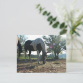 Breezy Sunbeams Postkarte (Stehend Vorderseite)