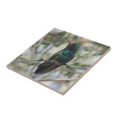 Breit-berechneter Kolibri Fliese (Seite)