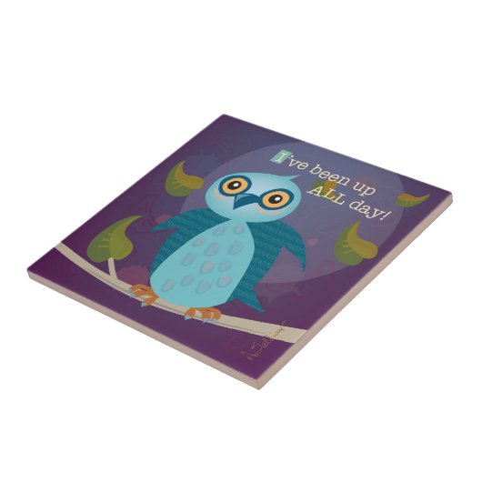 Breit-mit Augen Eulen-Keramik-Fliese Fliese (Seite)